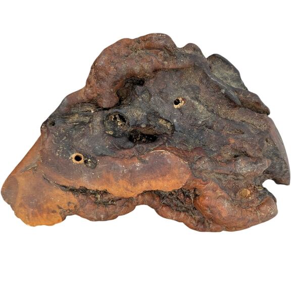 Beautiful Unique Piece of Petrified Wood MCM fossil mineral specimen healing - Picture 2 of 15